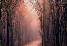 九游:WTA最新世界排名:萨巴伦卡积分破万遥遥领先,郑钦文重回前八.