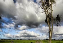 九游：[澳网]张之臻组合无缘澳网混双第二轮.