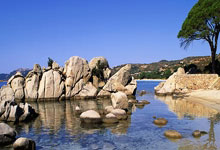 WTT仁川站4月4日赛程公布:林高远、王艺迪、蒯曼出战央视体育.